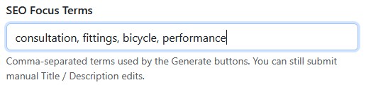 SEO Focus Terms field with terms entered