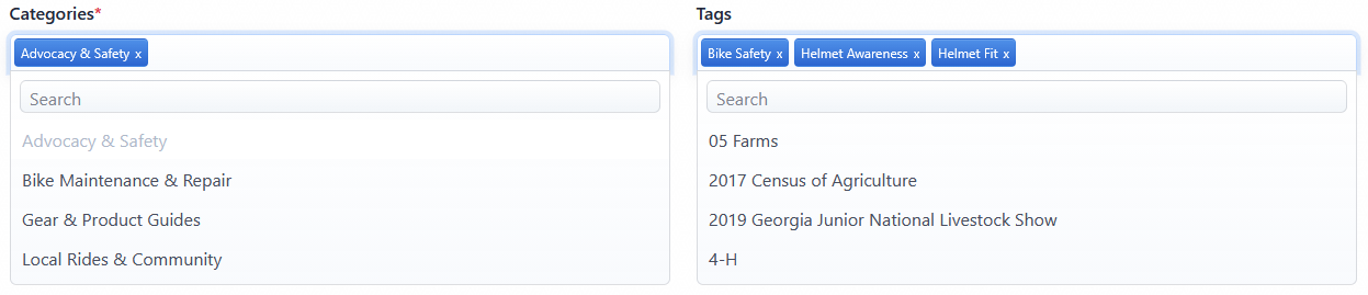 Blog categories and tags fields