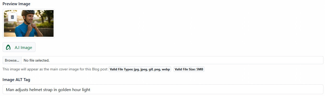 Blog preview image and alt tag field