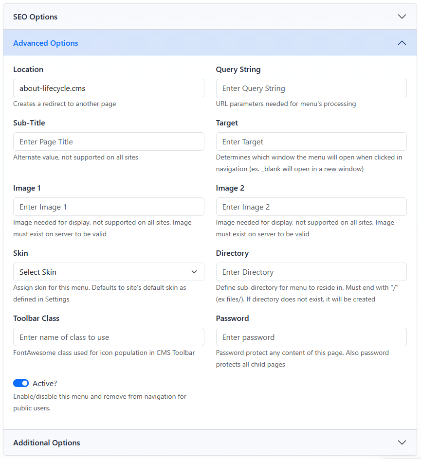 Advanced Options expanded in the Menu Manager edit view