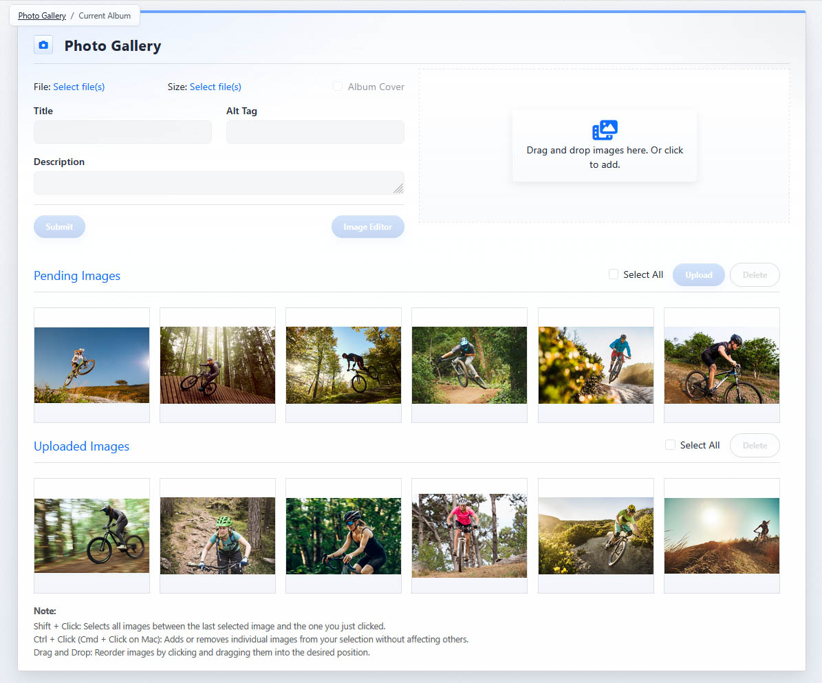 Pending and uploaded images in a Photo Gallery album