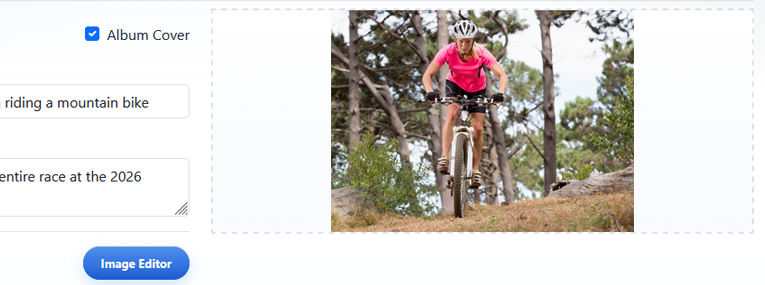 Selected image preview and Image Editor button