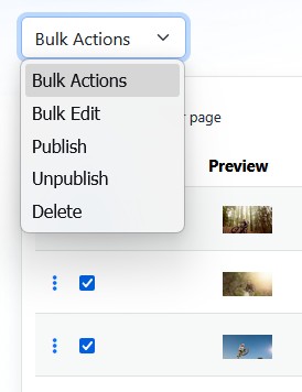 Bulk Actions menu in slide list view