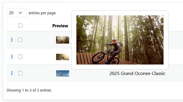 Slide preview popover
