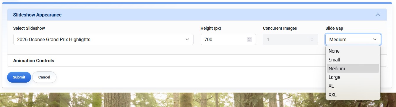 Slideshow Appearance settings