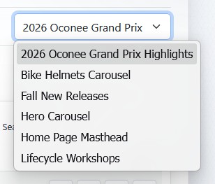 Switch shows menu in slide list view